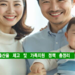 출산율 제고 및 가족 지원 정책 총정리