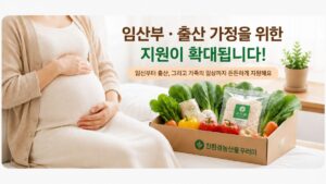2026년 하반기 임산부·출산 가정 지원 확대