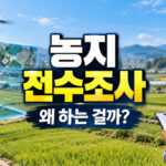 농지 전수조사 총정리｜조사 대상·조사 방법·위반 의심 기준