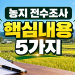 핵심내용 5가지,농지 전수조사 새로운 발표, 꼭 알아야 할 핵심내용